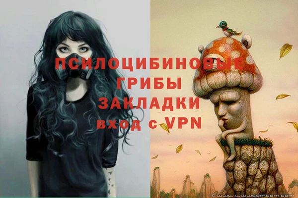 PSILOCYBIN Богданович